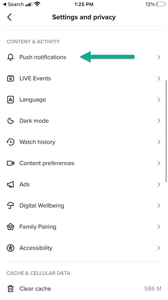 Push Notification Settings TikTok