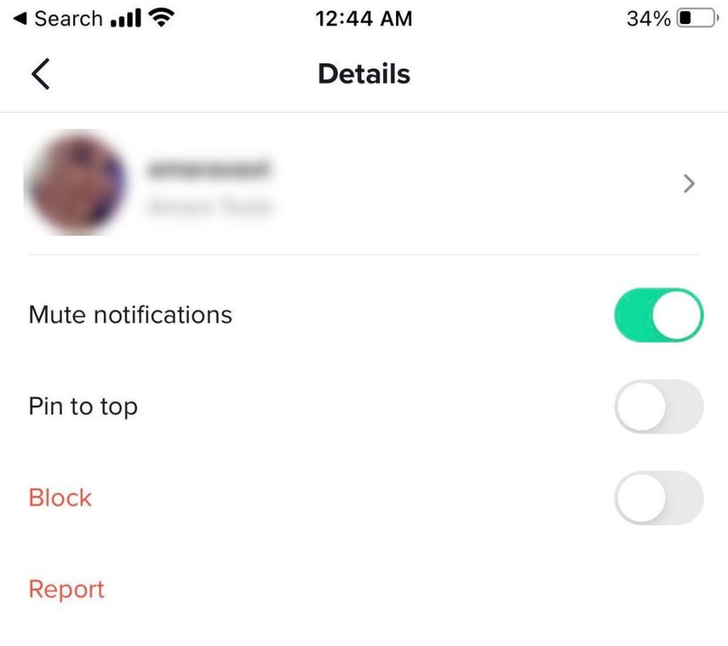 Mute Notifications TikTok