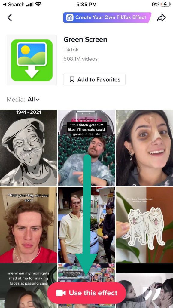 Use This Effect Button TikTok