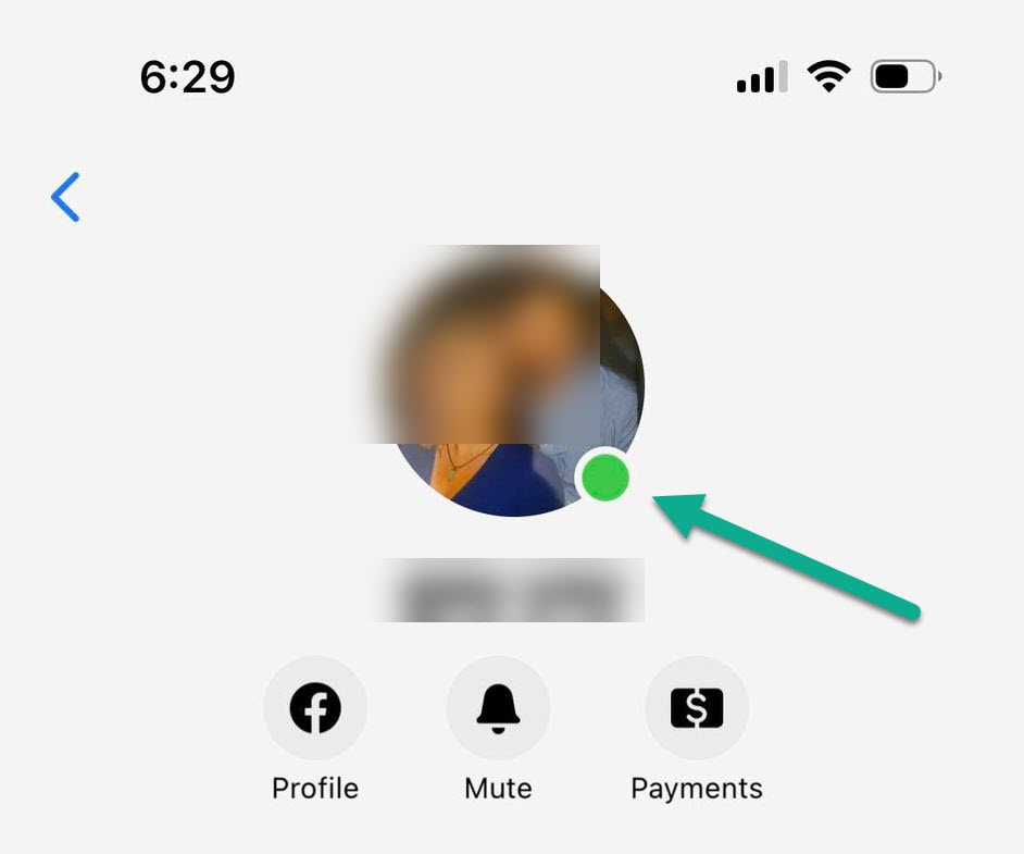 What Does The Green Dot Mean On Facebook Contacts