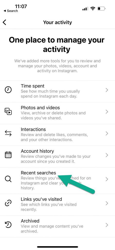 Recent Searches Button In Your Activity Section On Instagram